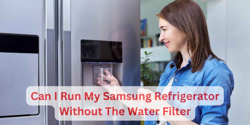Can You Run A Samsung Refrigerator Without A Water Filter