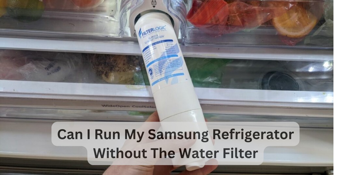 Can You Run A Samsung Refrigerator Without A Water Filter