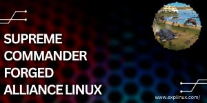 Supreme Commander Forged Alliance Linux